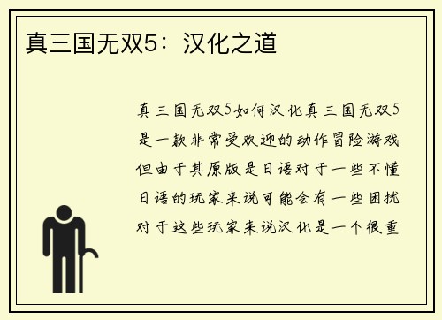 真三国无双5：汉化之道